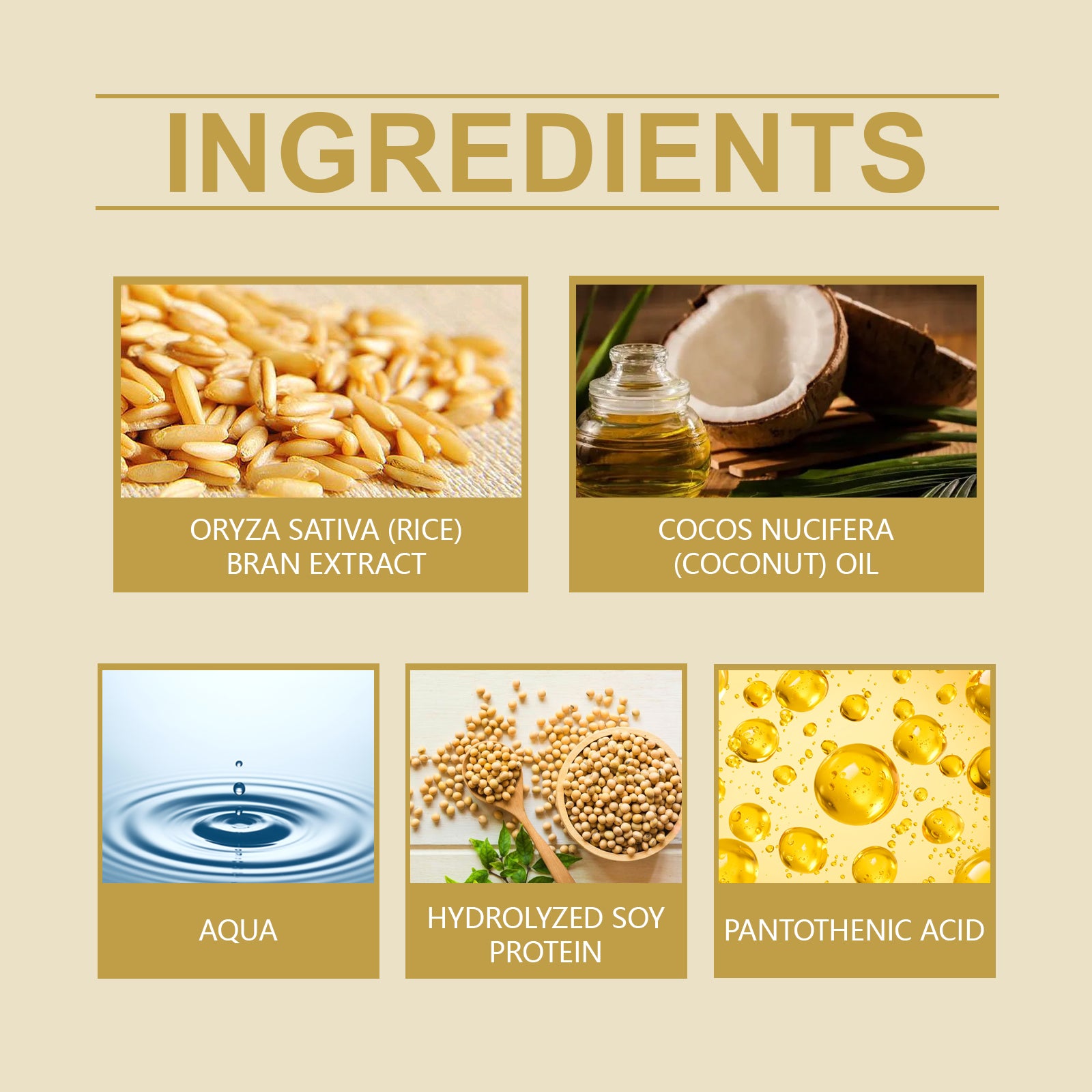 Rice Moisturizing Face Cream Moisturizes Skin With Refreshing, Gentle And Moisturizing Radiance