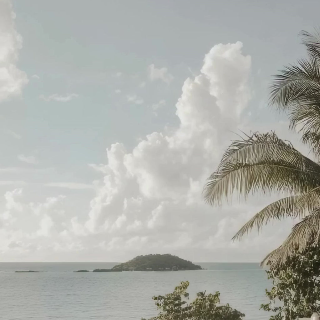 Organic Body Scrub with Dead Sea Salt & Shea Butter